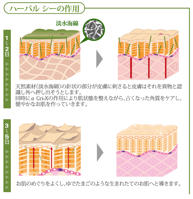 ハーバルシーの作用