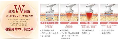 痩身のメカニズム